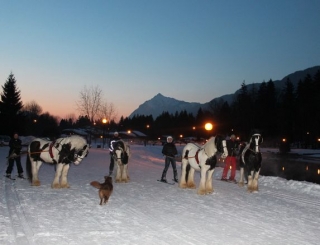  Pratique skijoring à noite 